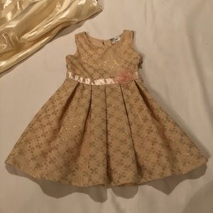 Blush Pink and Gold Toddler Girl Dress Size 2T